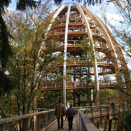 Haus Beate, Fewo Im Bienenparadies Kirchberg  Buitenkant foto