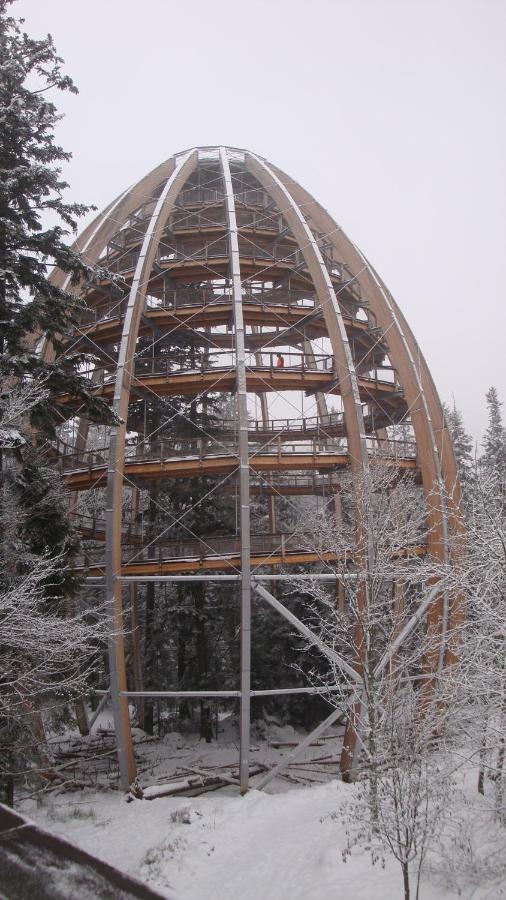 Haus Beate, Fewo Im Bienenparadies Kirchberg  Buitenkant foto